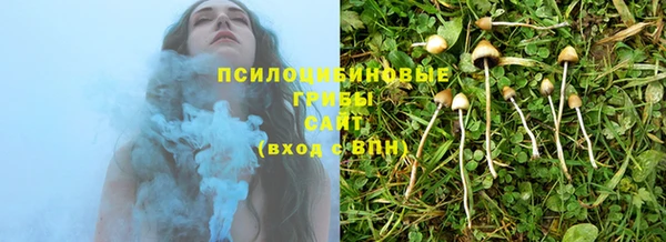 стафф Медвежьегорск