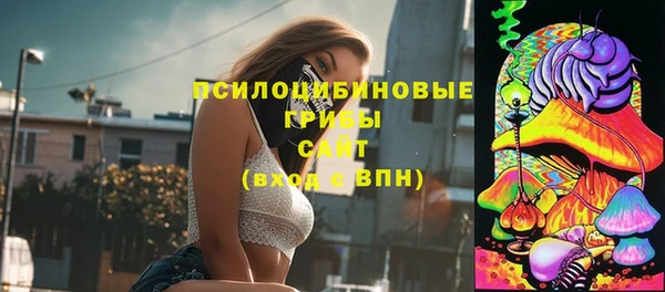 соль ск Алзамай