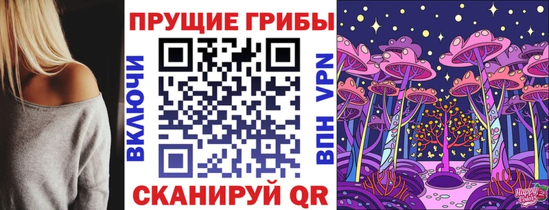 нарко площадка наркотические препараты  Невинномысск  Псилоцибиновые грибы Psilocybe  сколько стоит  МЕГА зеркало 